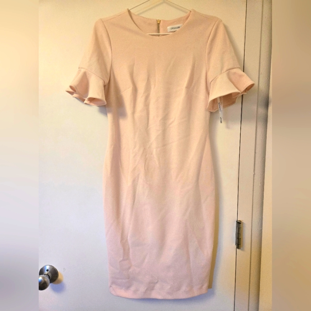 Women's Blush Pink Ruffle Sleeve Sheath Dress